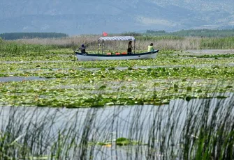 Nilüferlerle kaplı cennet gibi bir göl galerisinin önkapak görseli