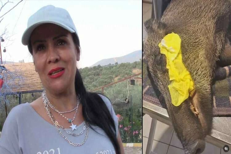 “Domuzun da can olduğunu ESHOT çalışanlarınıza hatırlatın” haberinin görseli