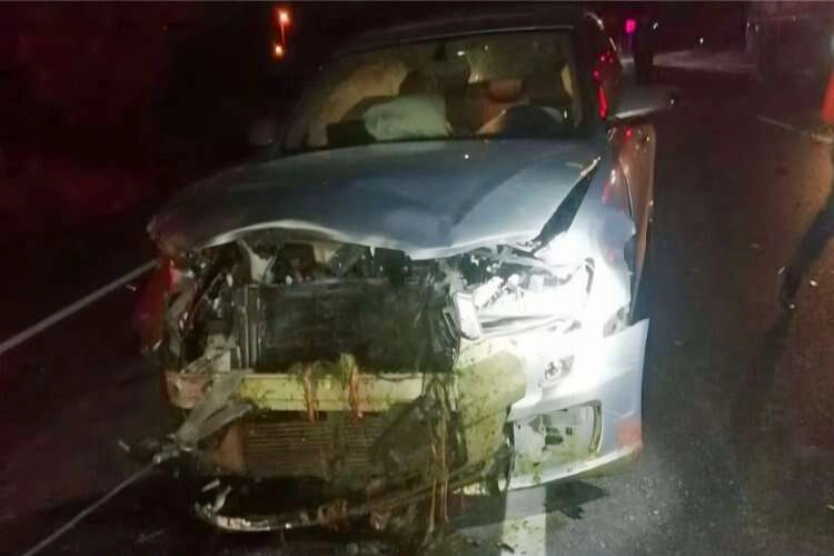 Uşak'ta otomobil koyun sürüsüne çarptı haberinin görseli