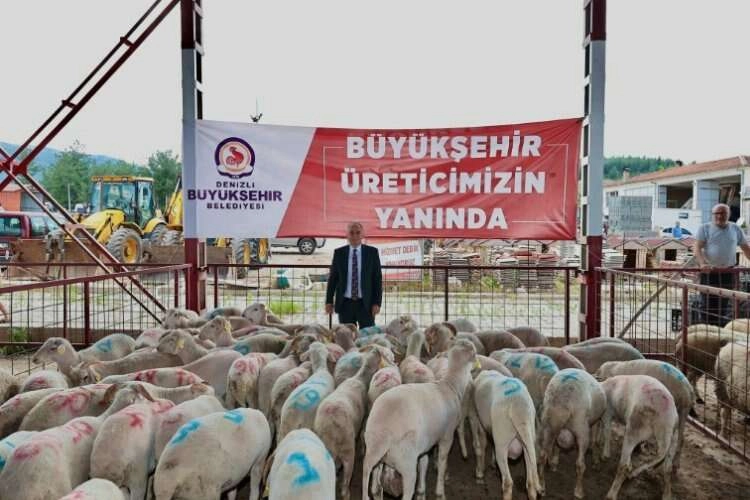 Denizli'de üreticiye büyük destek haberinin görseli