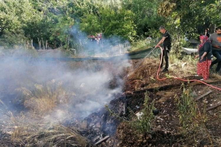 2 yılanı karşısında gören kadın korkup ormanı yakıyordu haberinin görseli