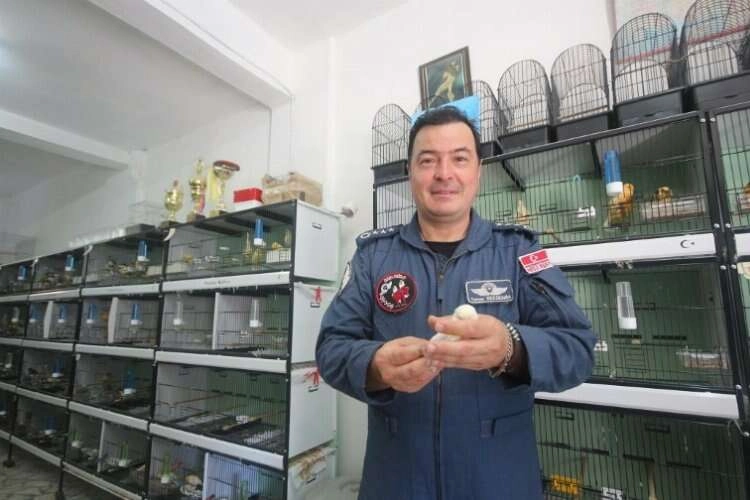 Sabahları savaş pilotu yetiştiriyor akşam kanarya haberinin görseli