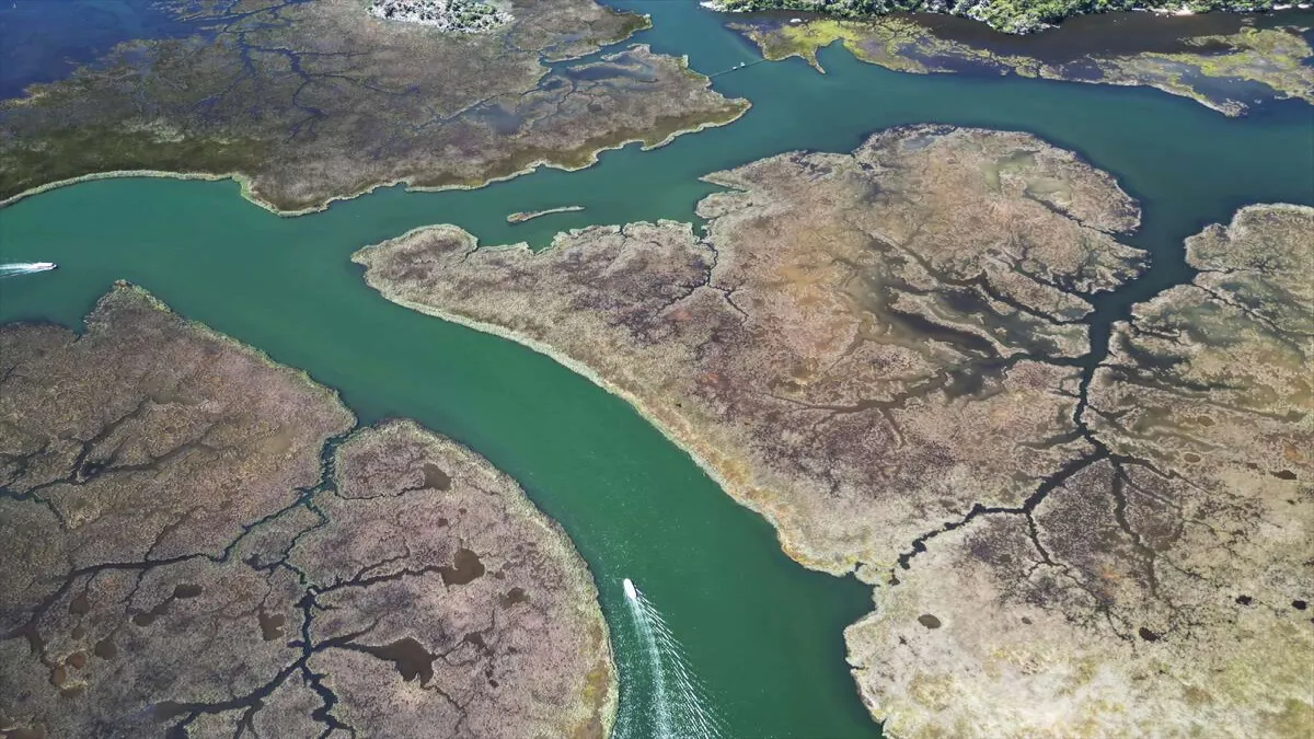 Dalyan sazlıklarında bayram hareketliliği! - 843