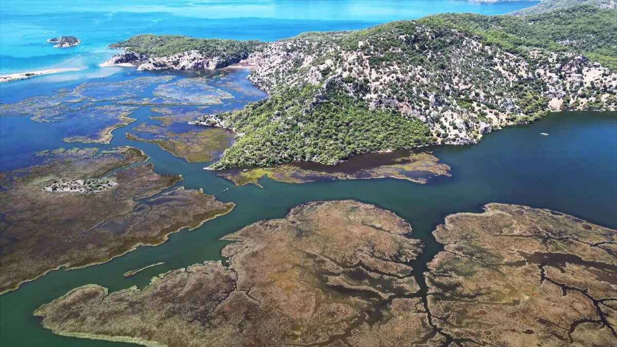 Dalyan sazlıklarında bayram hareketliliği! - 840