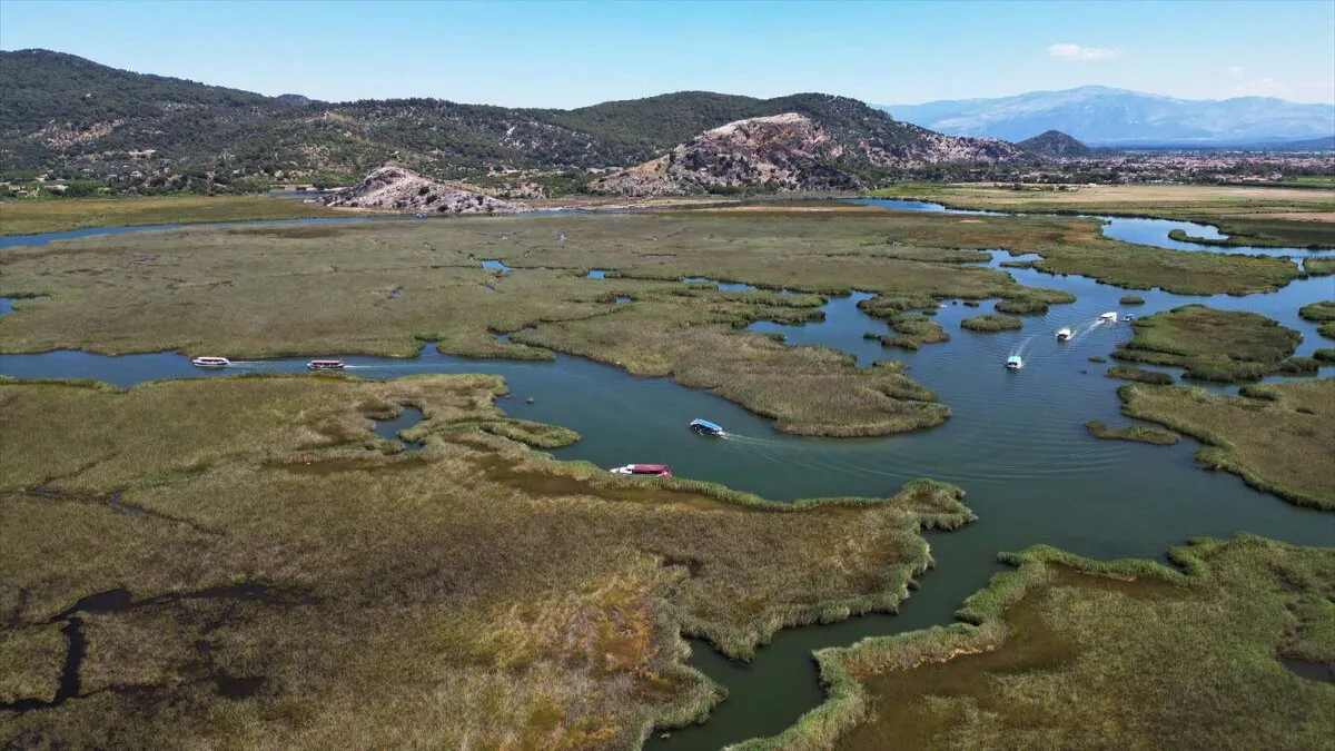 Dalyan sazlıklarında bayram hareketliliği! - 816