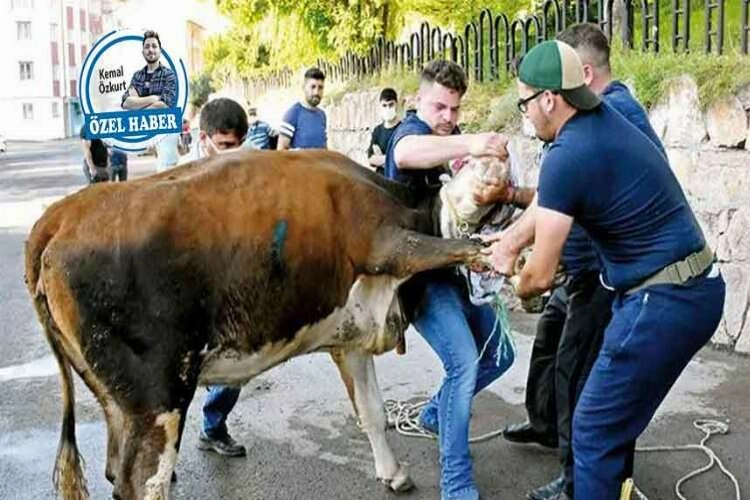 İzmir Kasaplar Odası, 'Acemi kasaplar' konusunda uyardı!