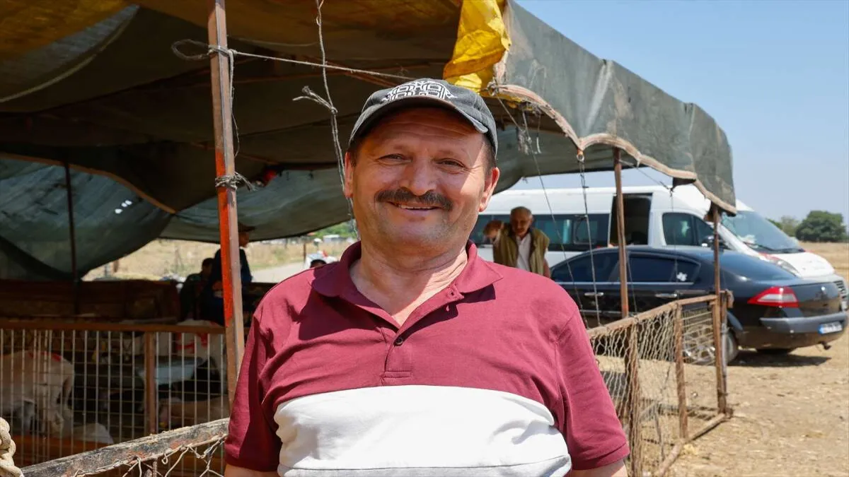 İzmir&#039;deki hayvan pazarlarında pazarlık başladı