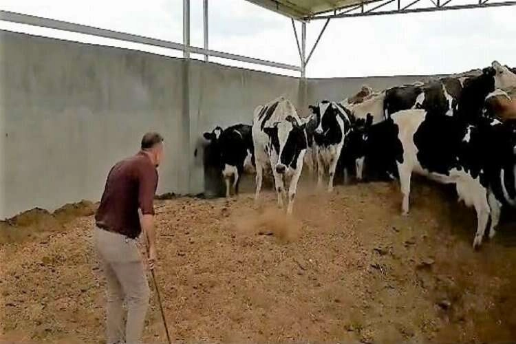 Denizli'de bakıcı dehşeti! Vurgun yapacaktı haberinin görseli