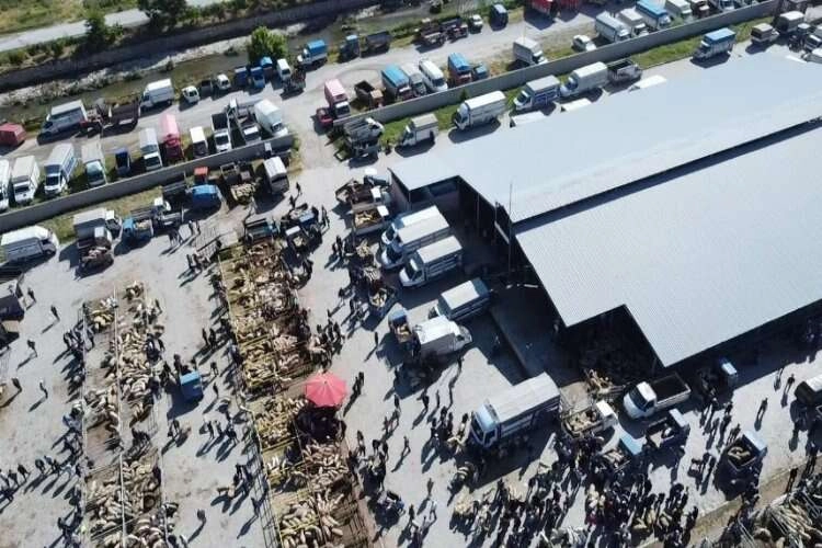 Şuhut kurban pazarında hareketli saatler haberinin görseli