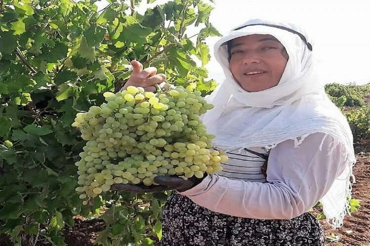 Karaciğer nakli yapılan kadın evinde ölü bulundu