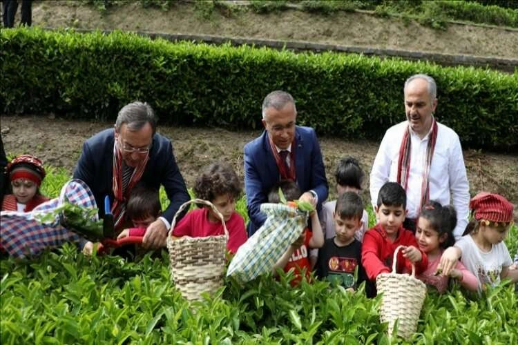 ÇAYKUR, birinci sürgünü tamamladı