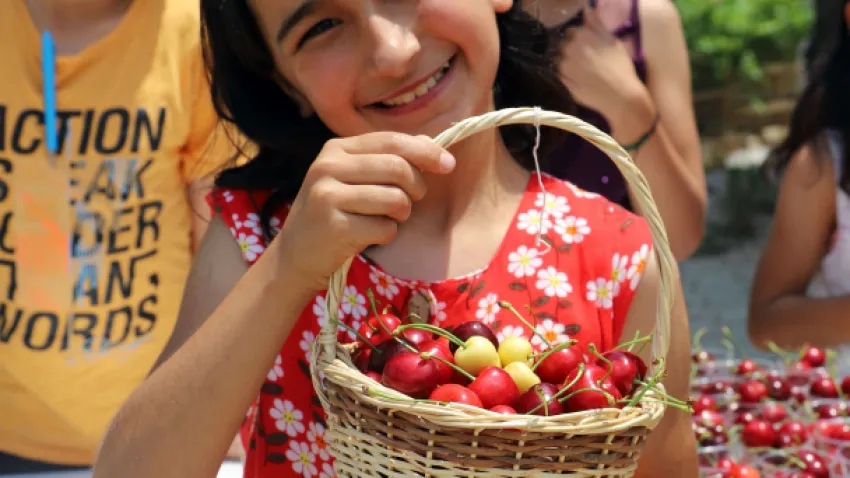 Bayındır Kiraz Festivali