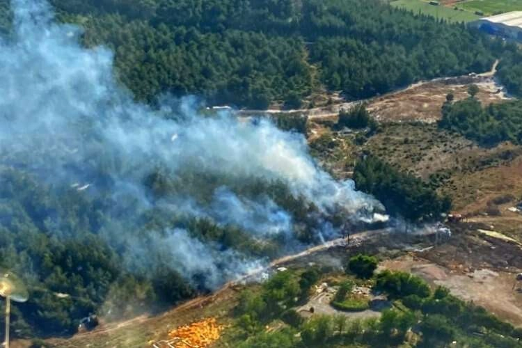 İzmir'deki orman yangınına müdahale sürüyor haberinin görseli