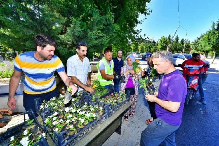 İzmir'de mezarlıklar çiçek açtı haberinin görseli