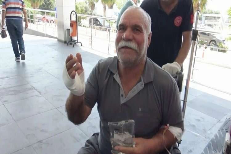 Aydın'da acemi kasaplar hastanenin yolunu tuttu haberinin görseli