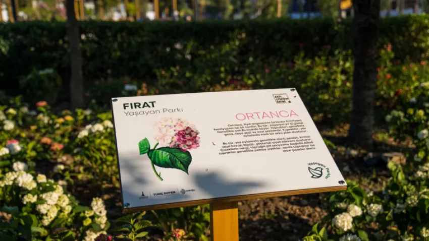 İzmir Büyükşehir Belediyesi tarafından kentlilerin doğayla bütünleşmesi için Buca’da kurulan “Fırat Yaşayan Parkı” ilçe sakinlerinin gözde mekanlarından biri oldu. Günde 10 binin üzerinde ziyaretçiyi ağırlayan parkı yurttaşlar da evi gibi korumaya başladı. 