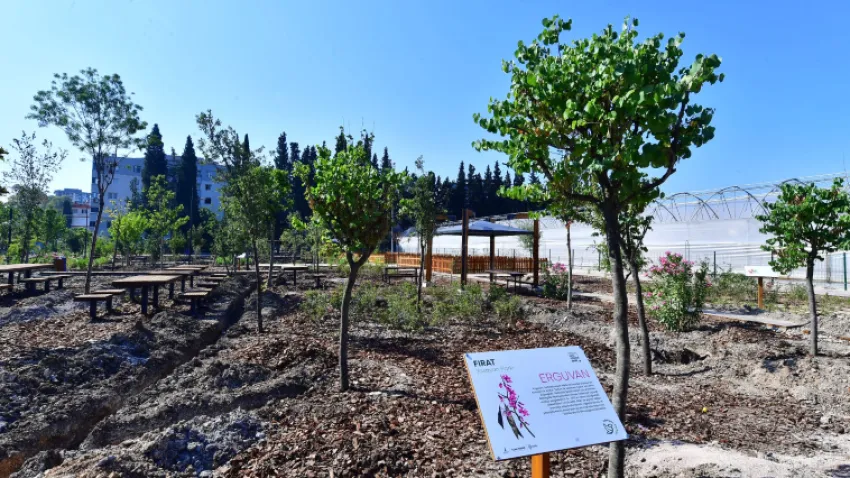 Fırat Yaşayan Parkı, Buca’da beş mahalleye olan yakınlığıyla büyük önem taşıyor. Fırat Yaşayan Parkı’na yönelik talep, Başkan Soyer’in İzmir’in her bir mahallesindeki ihtiyaçları hızlı ve etkili bir şekilde çözmek için oluşturduğu Acil Çözüm Ekibi tarafından tespit edilmişti. Park alanı İzmir Büyükşehir Belediyesi Meclisi kararıyla Haziran 2022’de belediye şirketi İzDoğa’ya çay bahçesi olarak kiralandı ve bir yıldan kısa sürede Yaşayan Park’a dönüştü. Parkın yapımında İzDoğa’nın yanı sıra İzmir Büyükşehir Belediyesi Acil Çözüm Ekibi’nin diğer paydaşları olan İZBETON, İZSU, İZENERJİ ile Park ve Bahçeler Dairesi, Fen İşleri Dairesi ve Yapı İşleri Dairesi görev aldı.