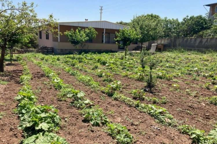 Bornova Belediyesi’nden çiftçiye tam destek haberinin görseli