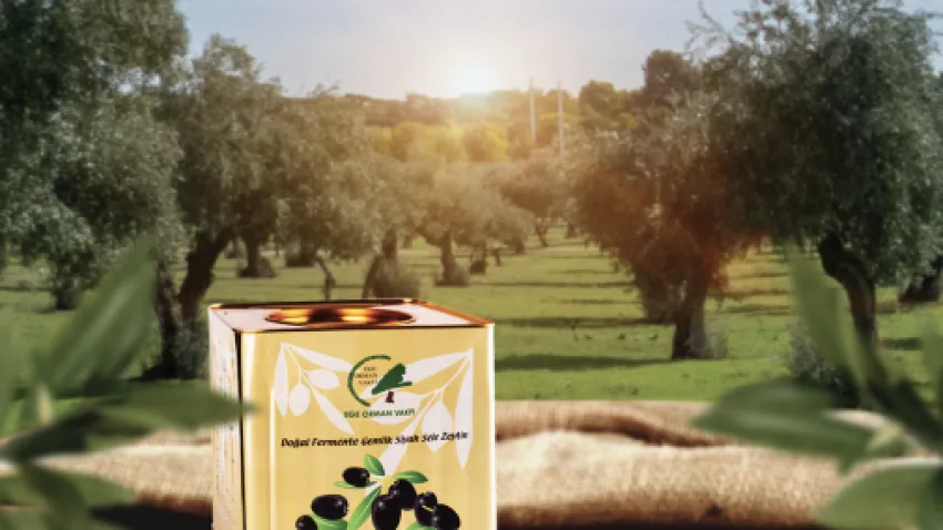 1688023208_Migros_Ege_Orman_Vakfi