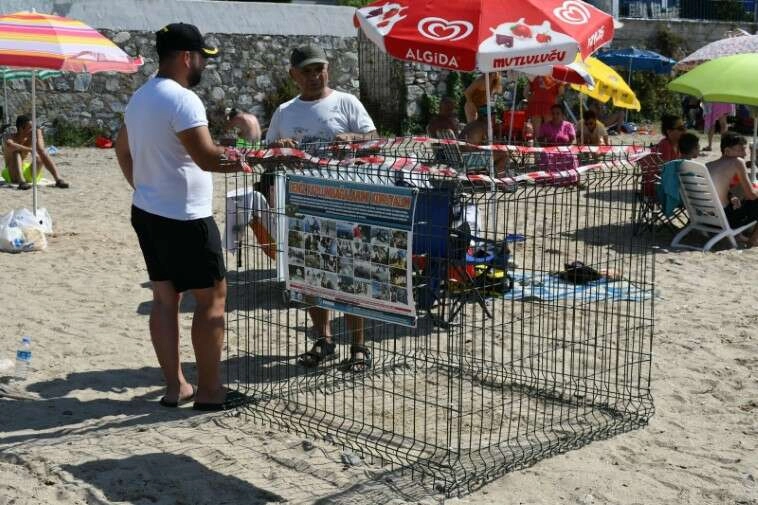 Kuşadası'nda caretta caretta yuvasına çitli koruma