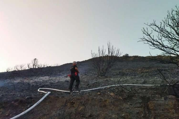 Antalya'da orman yangını korkuttu haberinin görseli