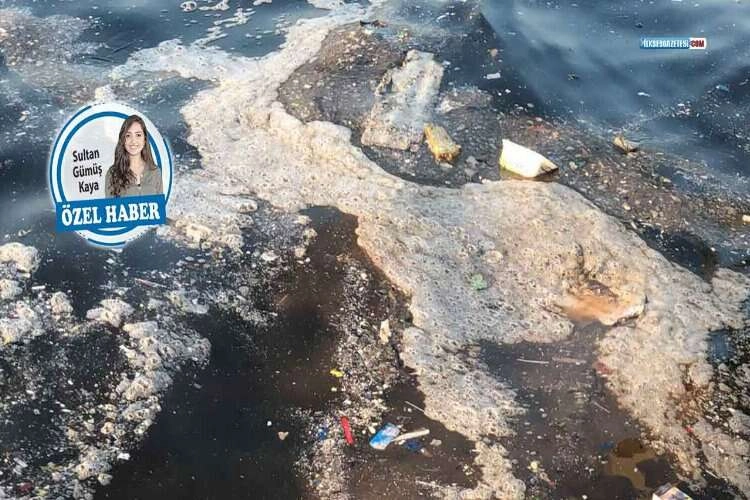Kıyı dolguları körfezin ekosistemini mi bozuyor? haberinin görseli