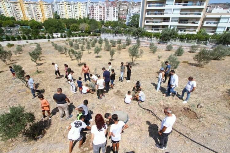 Karşıyaka’da binlerce ağaç toprakla buluştu haberinin görseli