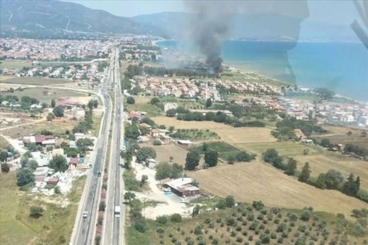 İzmir'de sazlık alanda yangın: 01/07/2023 haberinin görseli