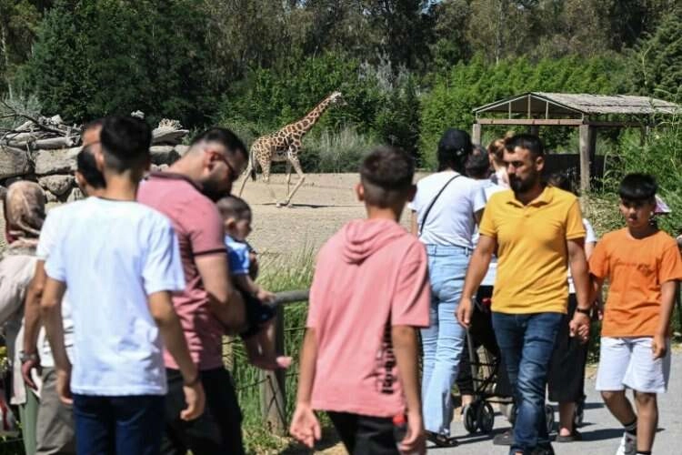 İzmir Doğal Yaşam Parkı çocukların ilgi odağı oldu haberinin görseli