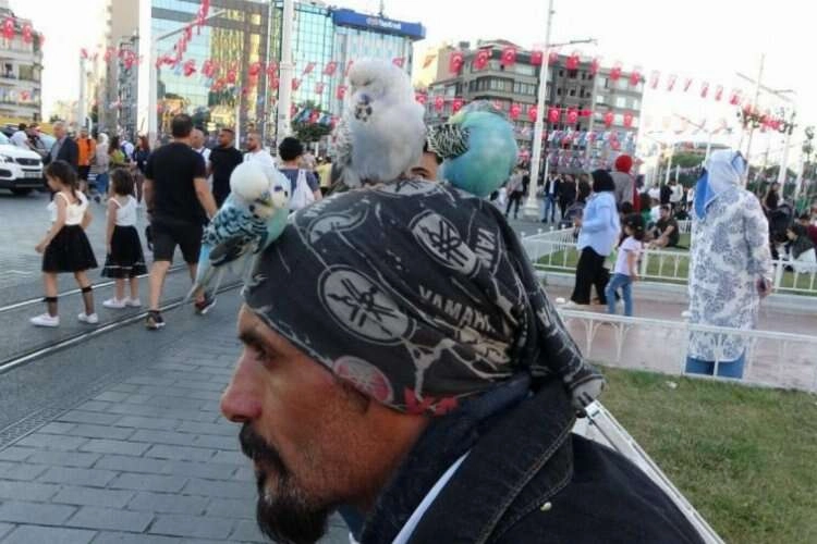 Başında 3 muhabbet kuşuyla Taksim'i geziyor haberinin görseli