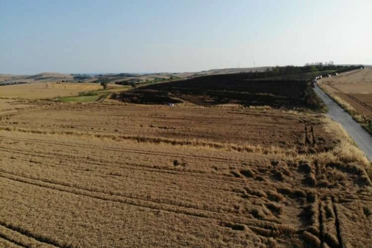 İstanbul'da 200 dönümlük buğday tarlasında yangın haberinin görseli