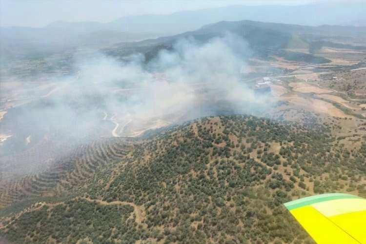 İzmir Kiraz'da korkutan yangın... Ormana sıçradı haberinin görseli