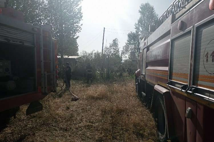 Edremit’te korkutan samanlık yangını! haberinin görseli