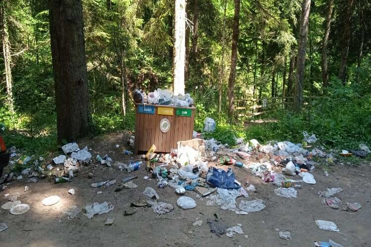 Karabük'te tabiat parkı çöplüğe döndü