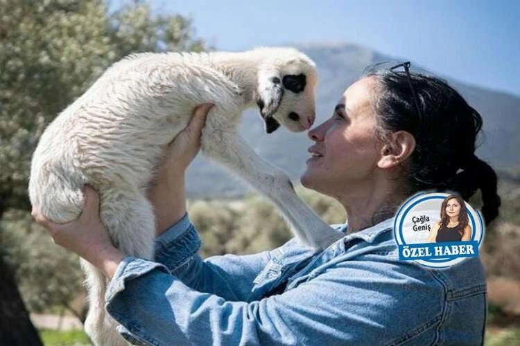 Kurban pazarlarının meleği bu yıl 110 cana hayat verdi haberinin görseli