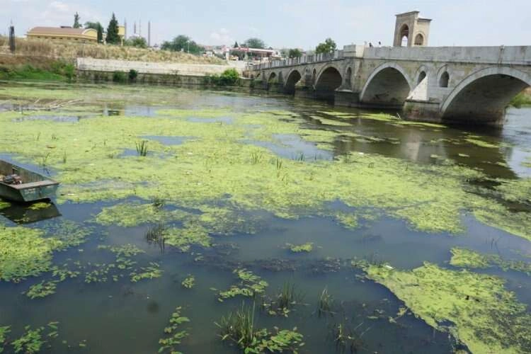 Tunca Nehri plastik atıklar ve çöplerle kaplandı