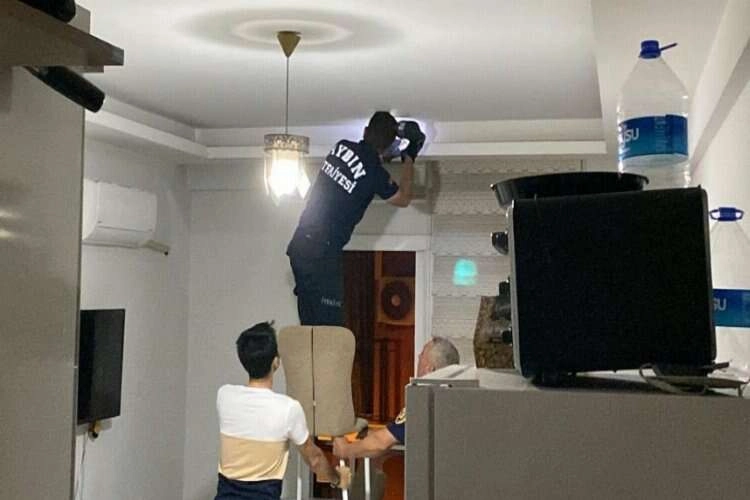 Aydın'da yarasa kurtarma operasyonu haberinin görseli