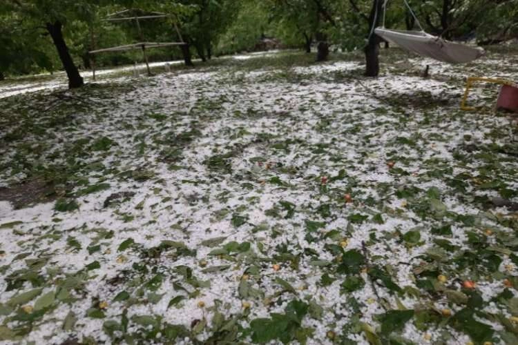 Ekinleri zarar göre çiftçiler destek bekliyor