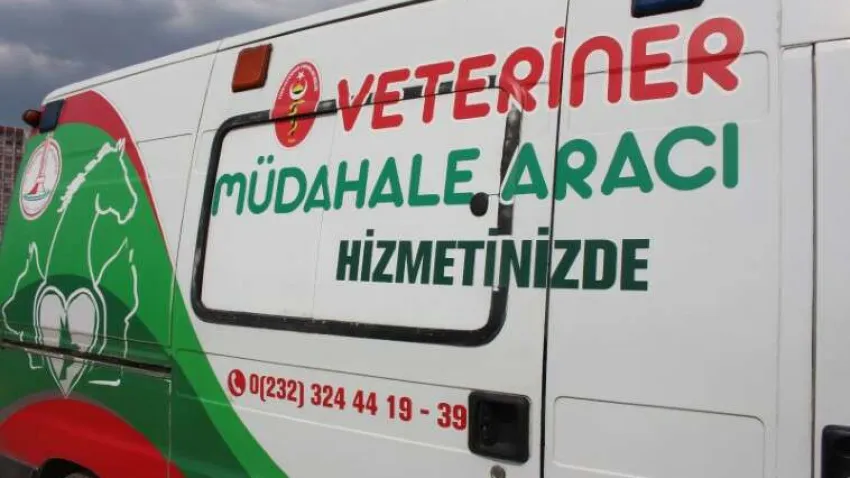 cc67c35d-138e-437a-8c63-e5b15003b7ee (Özel)