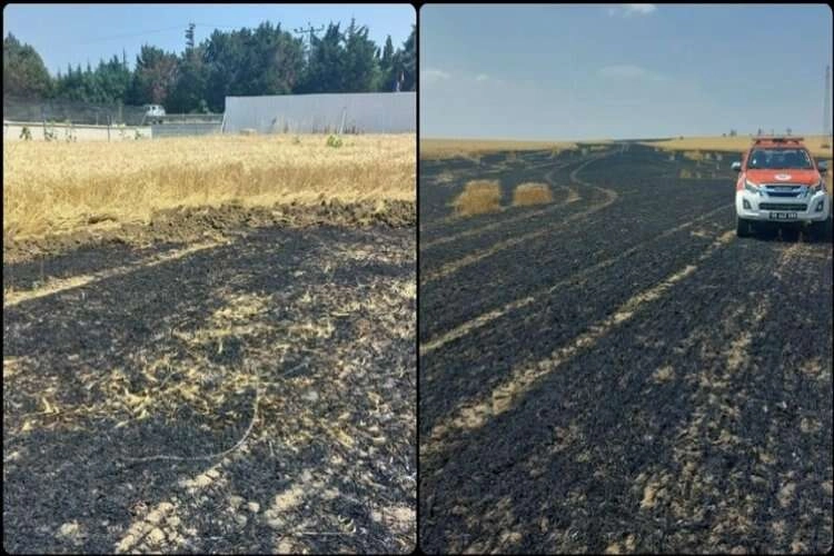 Tekirdağ'da 15 dönüm alan zarar gördü haberinin görseli