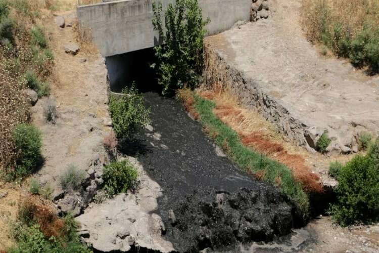 Dicle Nehri'nden kimyasal madde akıyor