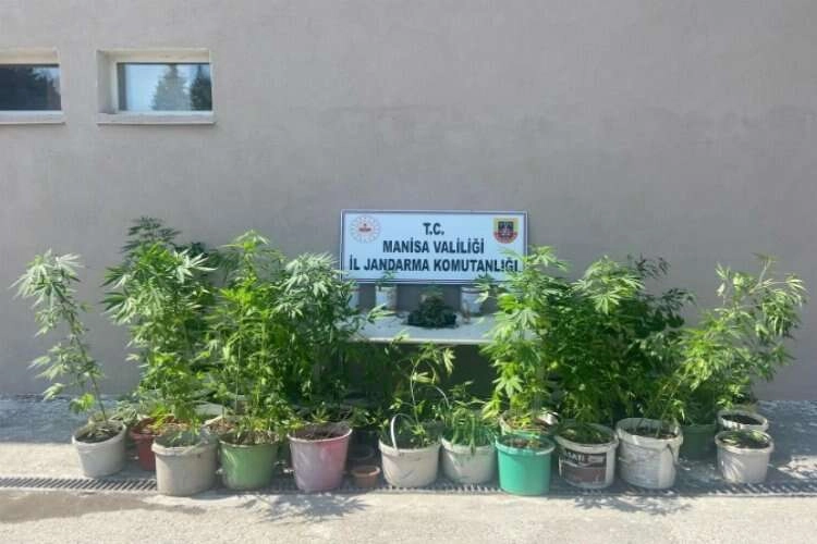 Manisa’da uyuşturucu tacirleri jandarmaya yakalandı