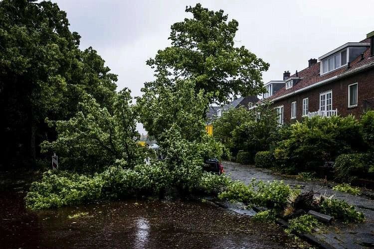 Hollanda’da şiddetli fırtına: 1 ölü haberinin görseli