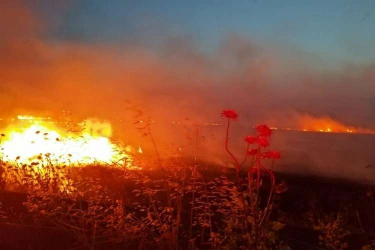 Gönen'de anız yangını: 60 dönüm yer kül oldu haberinin görseli