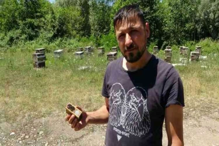 Ana arıda üretim düştü: Fiyatı 200 TL haberinin görseli