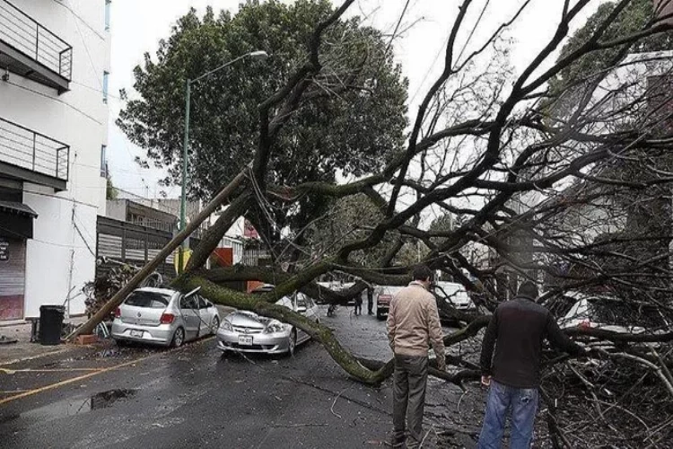 Almanya’da şiddetli fırtına: 1 ölü haberinin görseli