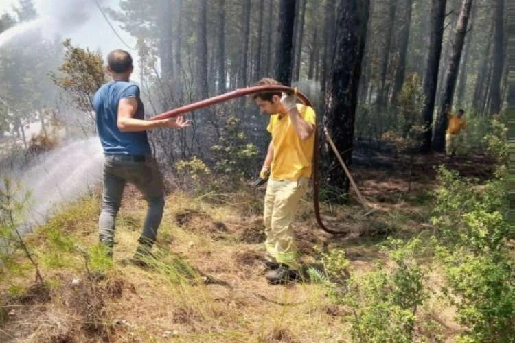 Muğla'da orman yangına müdahale edildi