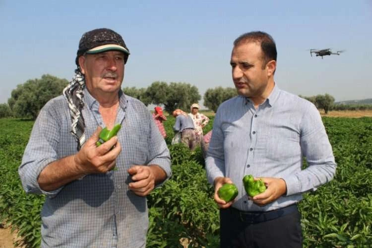 Aslanlar biberi Urfa'nın isotuyla yarışıyor