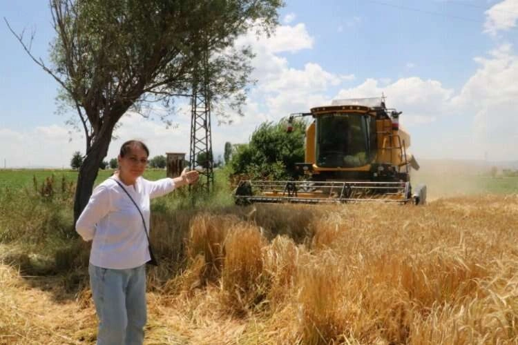 Afyonkarahisar'da hububat hasadı başladı haberinin görseli