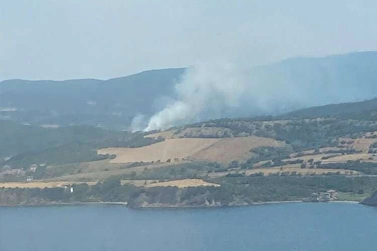 Çanakkale'de korkutan orman yangını! haberinin görseli